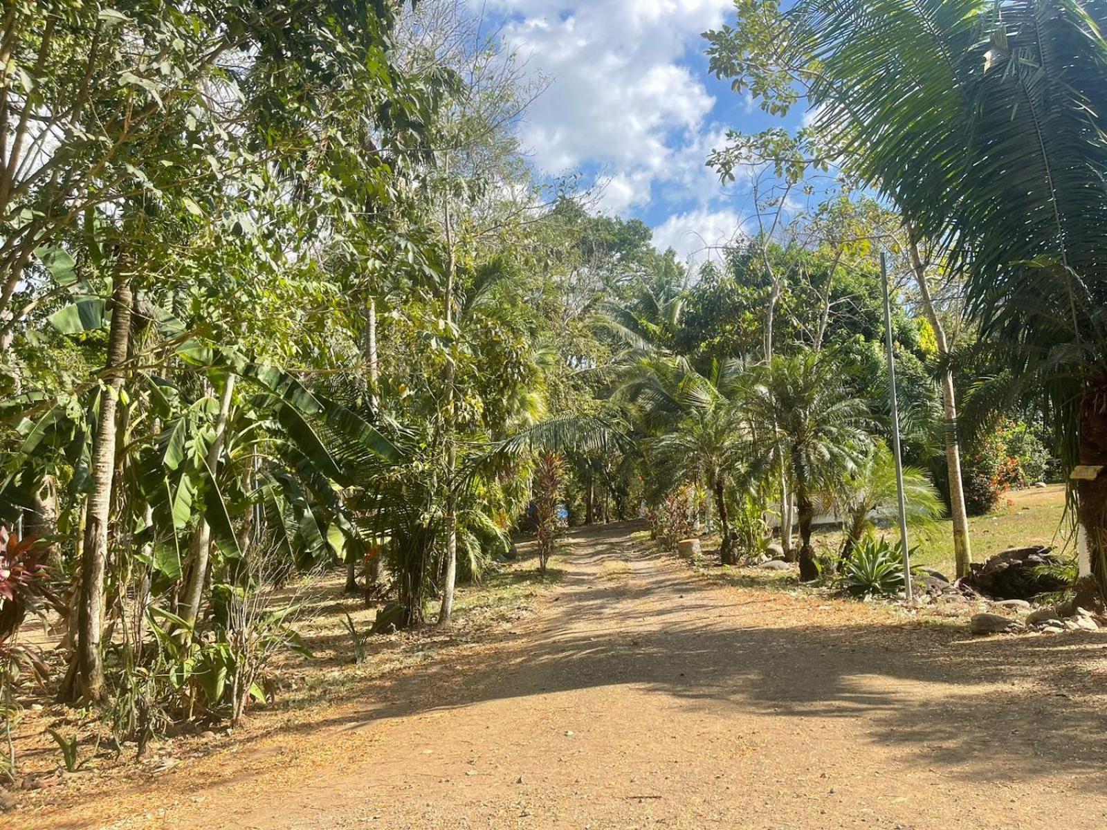 Macaw Paradise ฆาโก ภายนอก รูปภาพ