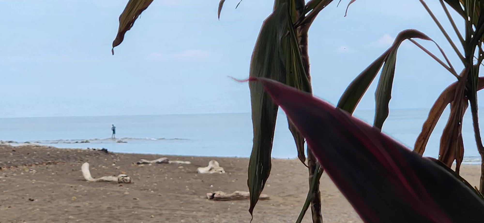 Macaw Paradise ฆาโก ภายนอก รูปภาพ